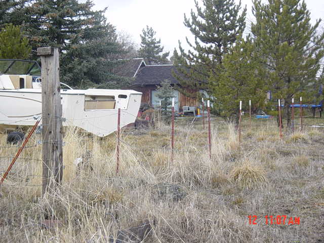 new picture of backyard April 2005